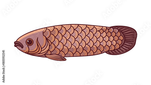 Vector illustration of a fresh seafood herring fish isolated on a white background