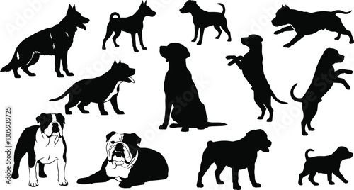 Dog silhouettes set, vector illustration collection of various breeds like bulldog and shepherd, in different poses, isolated on white background.
