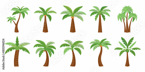 Collection of diverse tropical palm trees with green leaves and brown trunks on white background