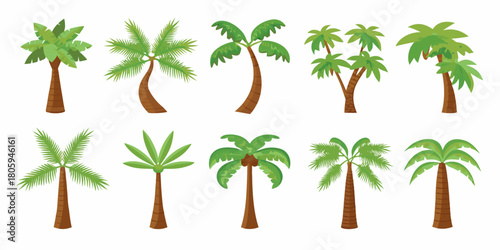 Collection of ten stylized cartoon palm trees in various shapes and sizes on a white background