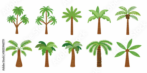 Collection of ten diverse cartoon palm trees with green leaves and brown trunks on a white background