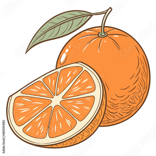 Vibrant hand-drawn illustration of a fresh whole orange with a green leaf and a perfectly cut juicy citrus fruit slice, showcasing healthy tropical snack for diet and vitamin c. isolated vector art.