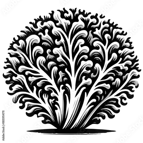 Stylized monochrome illustration of a bushy tree with intricate leaf details and a rounded crown shape