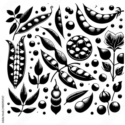 Illustration of various pea pods and leaves in a monochrome style with detailed shading and textures