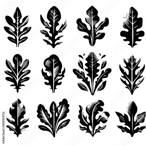 Collection of twelve arugula leaf illustrations in black and white showcasing various shapes and styles