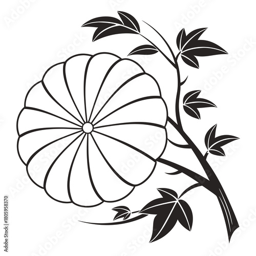 Elegant chrysanthemum flower illustration with intricate details, showcasing the beauty of nature and the artistry of floral design isolated on