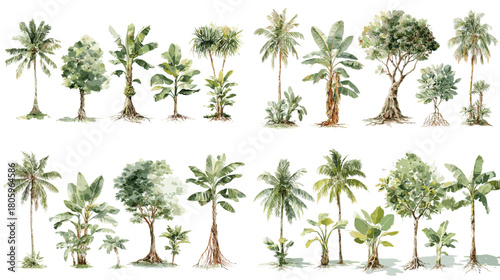 A watercolor set of tropical trees including banana trees, palm trees, and lush greenery, ideal for botanical themes, landscape design, nature illustration, and tropical environment artwork.