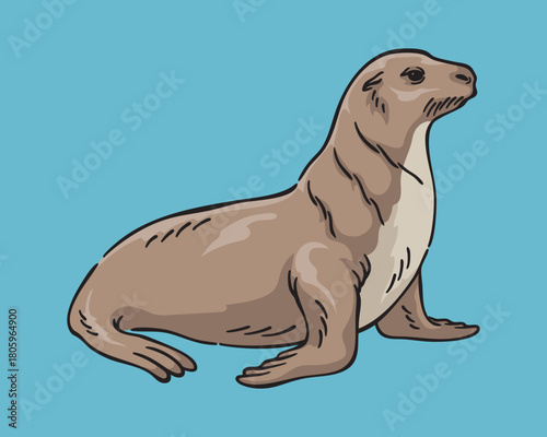 sea lion Illustration, Marine Animal Line Art Vector