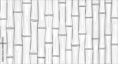 Bamboo Stalks - A Natural and Minimalist Background.