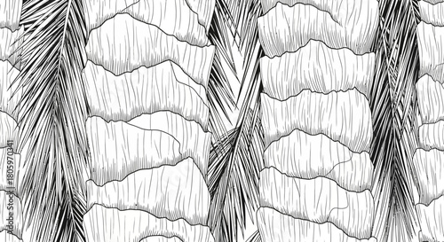 Palm tree trunk and leaves detailed black and white illustration.