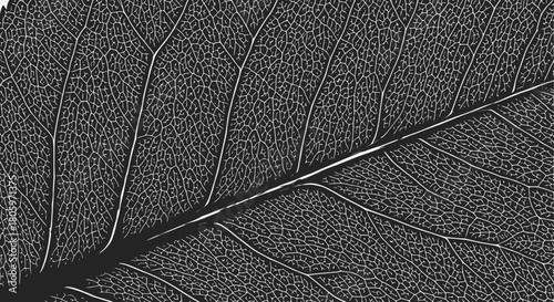 Detailed leaf structure showcasing intricate veins and patterns.