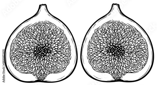 Fig Halves - Detailed Black and White Illustration of Fruit Interior.
