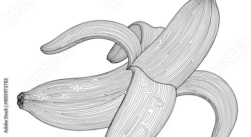 Vintage Engraving Style Peeled Banana Illustration on White Background.