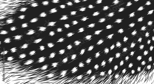 Close up of guinea fowl feather pattern.