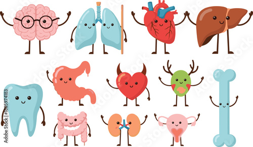 Cartoon human organs, anatomy characters, smiling body parts, educational illustration, cute medical design, healthcare icons, biology teaching, vector art, children learning, anatomy education