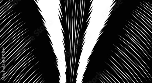 Abstract Black and White Fur Texture Background.