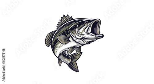 Detailed vector illustration of a jumping largemouth bass with an open mouth perfect for a fishing club logo or t-shirt design.