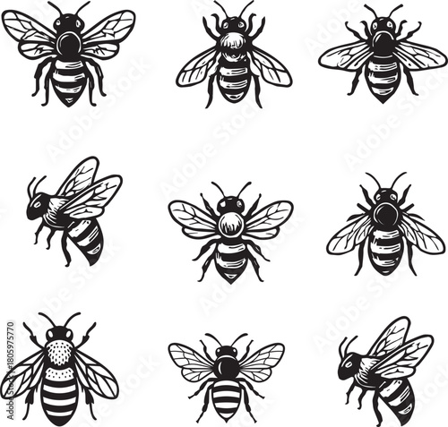  hony bee set vector icon 