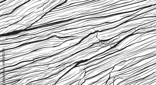 Abstract black and white wood grain texture background.