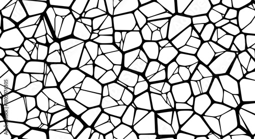 Abstract black and white network of irregular polygons.