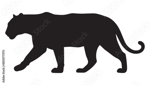 Silhouette panther in florida vector illustration design on white background
