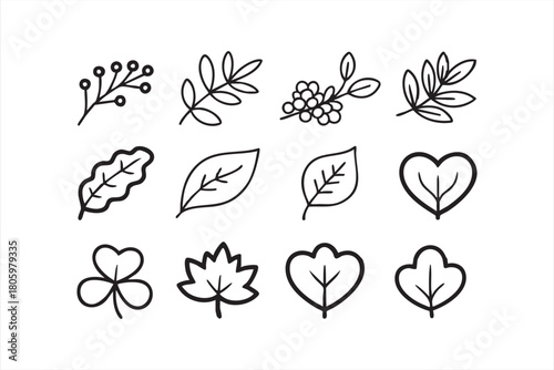 Minimal plant and leaf outline collection for nature graphics and branding