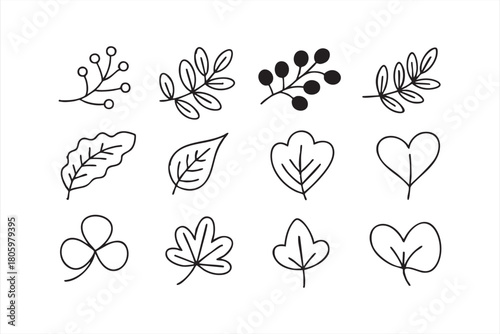 Autumn foliage vector pack featuring simple botanical shapes and greenery