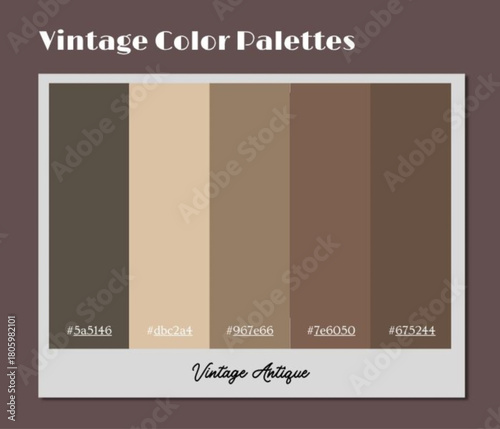 A composed vintage color palette intended for documentary visuals requiring warm, authentic mood.