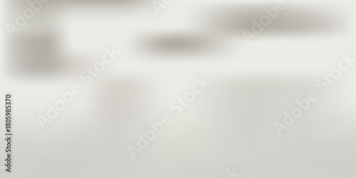 Abstract white color studio background for product presentation. Empty room with shadows of window and flowers and plant leaves . 3d grey room with copy space. Summer concept.