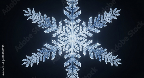 A macro shot of a single, intricate snowflake against a dark background, showcasing its delicate crystalline structure and the beauty of winters natural art