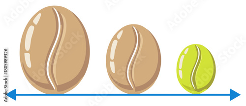 Three Coffee Beans in Differing Sizes Arranged on a Horizontal Line