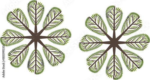 Top view symmetrical leafy tree branches illustration, natural foliage pattern design, botanical green leaves artwork for decorative nature themed backgrounds