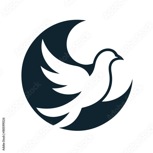 International Day to Combat Islamophobia