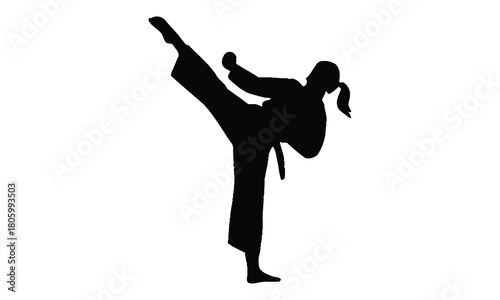 Martial arts woman performing high kick silhouette