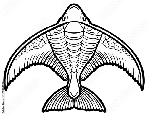 Monochromatic Stylized Fish Illustration with Broad Winged Fins Top View Line Art