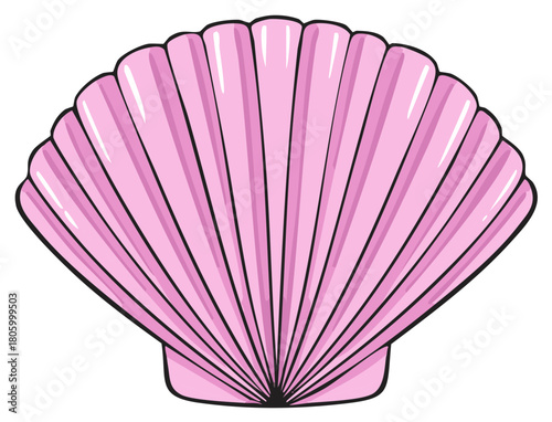 A vibrant pink scallop shell with a ribbed surface and a black outline, isolated on white