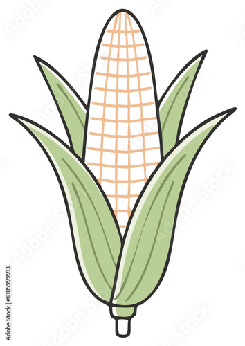 Simple Illustration of a Fresh Corn Cob with Green Leaves