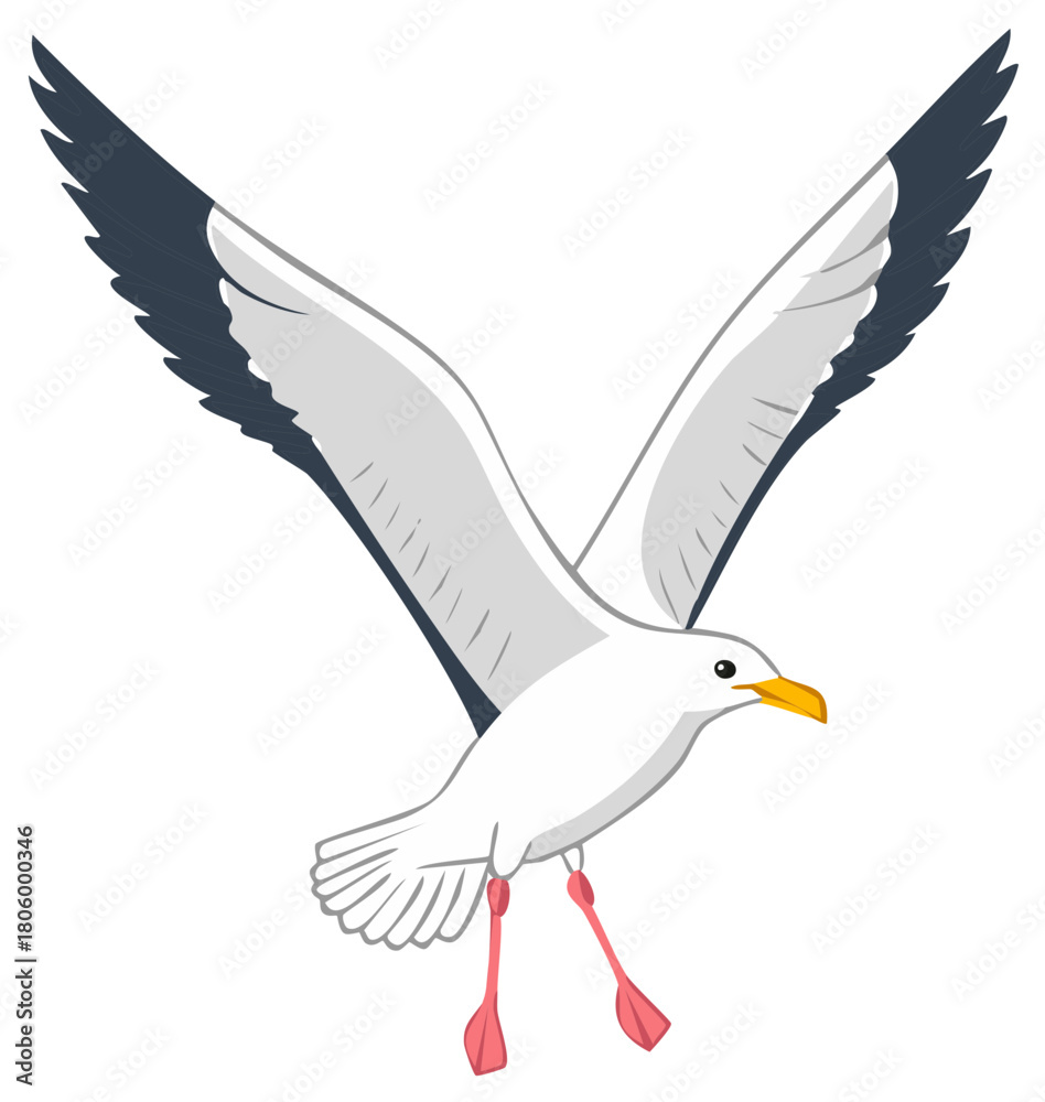 Obraz premium White seagull with dark tipped wings in flight with webbed feet dangling