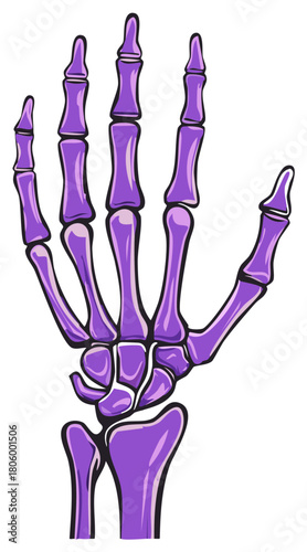 Purple Skeleton Hand Bones Anatomy Illustration Spooky Halloween Medical Science Vector Art Graphic