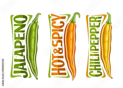 Vector Chili Pepper Set