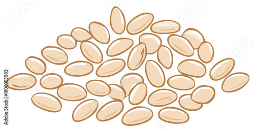 Heap of Cooked White Beans Illustration for Food and Ingredient Concepts