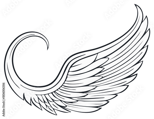 Elegant curved angel wing illustration in a black and white line art style.