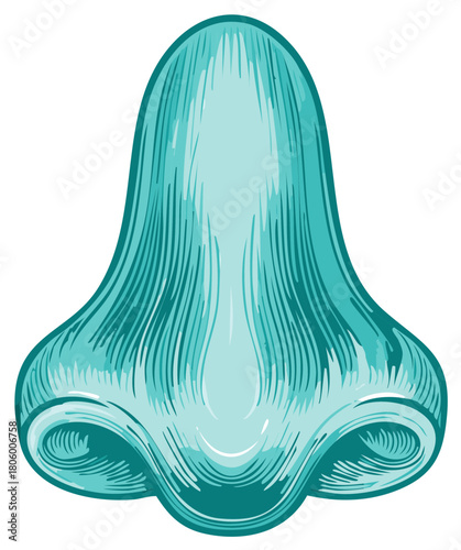 Vector illustration of a nose in teal color with engraved style, isolated on a white background.