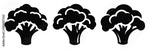 cauliflower floret minimal food icon set, black color and white background