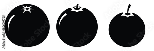 orange whole minimal food icon set, black color and white background