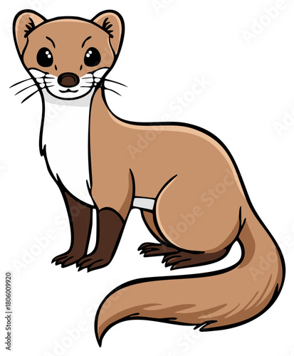 Friendly cartoon weasel animal illustration standing with brown fur and white underbelly