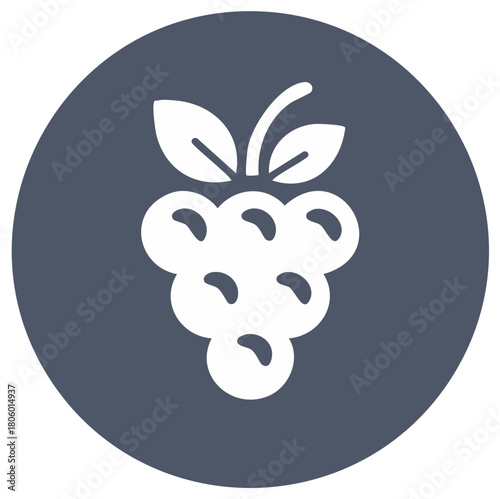 Grape Vine Illustration in Circle, Food Concept, Wine Ingredient, Fresh Fruit Icon