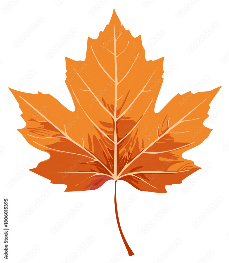 Fototapeta premium Orange maple leaf illustration isolated on white background for autumn or fall designs.