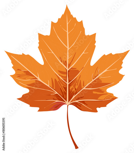 Orange maple leaf illustration isolated on white background for autumn or fall designs.
