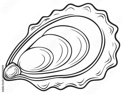 Stylized Black and White Line Drawing of an Open Oyster Shell